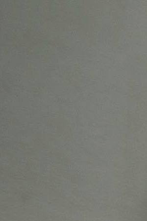 During an event hosted by the Zionist Organization of America on Capitol Hill in Washington, DC.  Photo by Zach Gibson/Getty Images