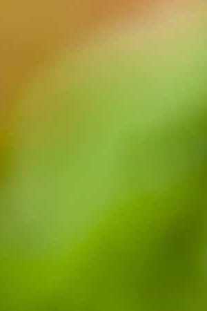 Photo by iStock / Getty Images Plus