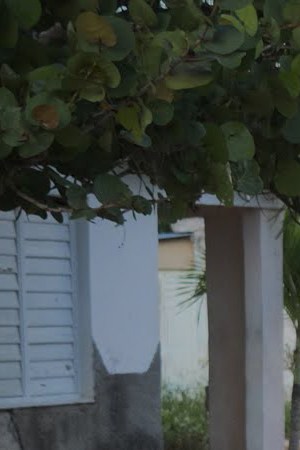 'Voices of the Sea' courtesy of Kim Hopkins