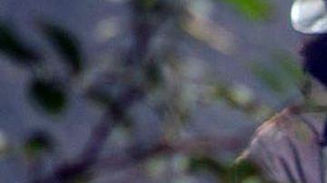 La Malinche, courtesy of Canal Once