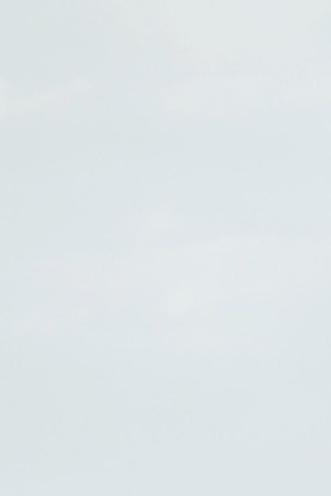 Courtesy of Los Cabos International Film Festival