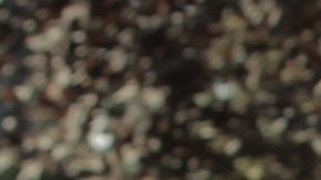 Courtesy of the filmmakers