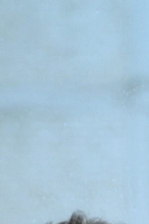 Courtesy of filmmakers