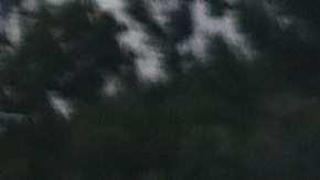 Members of the Central American caravan. (Photo by Spencer Platt/Getty Images)