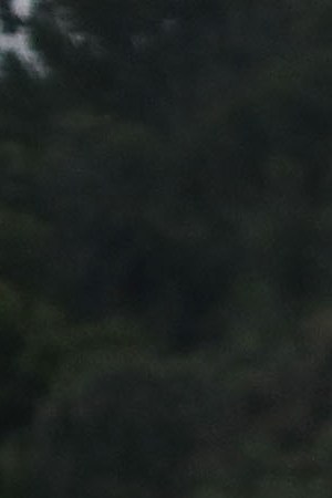 Members of the Central American caravan. (Photo by Spencer Platt/Getty Images)