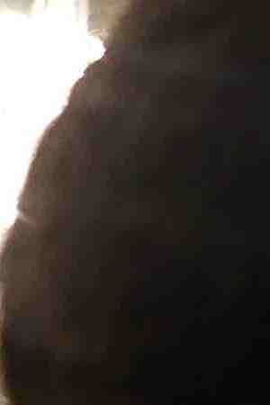 U.S. Sen. Ted Cruz (R-TX) greets supporters during a Get Out The Vote Bus Tour rally on November 5, 2018 in Atascocita, Texas.  Photo by Justin Sullivan/Getty Images