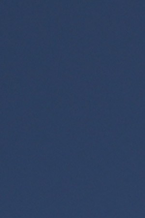 An anti-immigrant protester holds a "Mexico First!" sign before marching with fellow demonstrators to an immigrant shelter on November 18, 2018.  Photo by John Moore/Getty Images