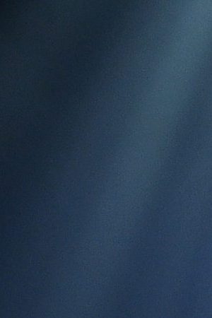 Photo by Theo Wargo/Getty Images for Pandora