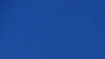 Junior, an immigrant from Honduras, waves the American flag while standing with other immigrants at the U.S.-Mexico border fence on November 25, 2018 in Tijuana, Mexico. Photo by Mario Tama/Getty Images