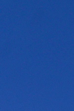 Junior, an immigrant from Honduras, waves the American flag while standing with other immigrants at the U.S.-Mexico border fence on November 25, 2018 in Tijuana, Mexico. Photo by Mario Tama/Getty Images