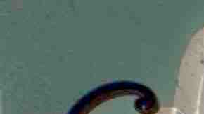 Photo by TexPhoto / E+