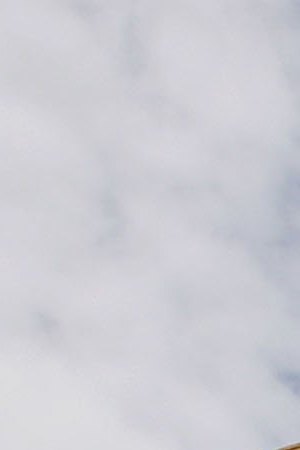 Volunteer construction workers with Habitat for Humanity work on a new home August 23, 2006 in Upper Ninth Ward of New Orleans, Louisianna. Photo by Justin Sullivan/Getty Images