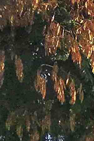 Photo by kolderal / Moment