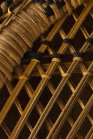 Photo by Anna Groth-Shive. Courtesy of the artist