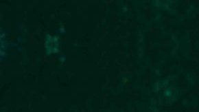 Courtesy of Beats PR