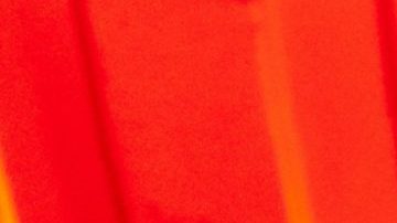 Photo by Saul Endara and Maria Emilia Jaramillo. Courtesy of Nicola Cruz