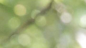 Photo by Itzel Alejandra Martinez for Remezcla