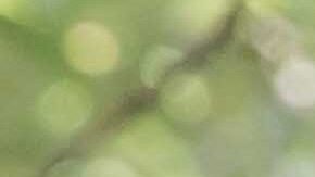 Photo by Itzel Alejandra Martinez for Remezcla