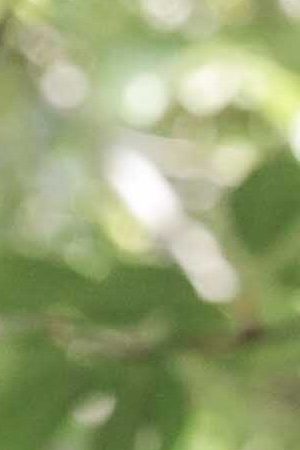 Photo by Itzel Alejandra Martinez for Remezcla