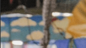 Courtesy of Los Cabos International Film Festival