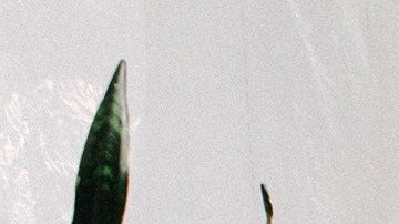 VICTOR! Courtesy of Red Bull