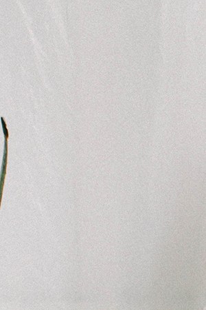 VICTOR! Courtesy of Red Bull