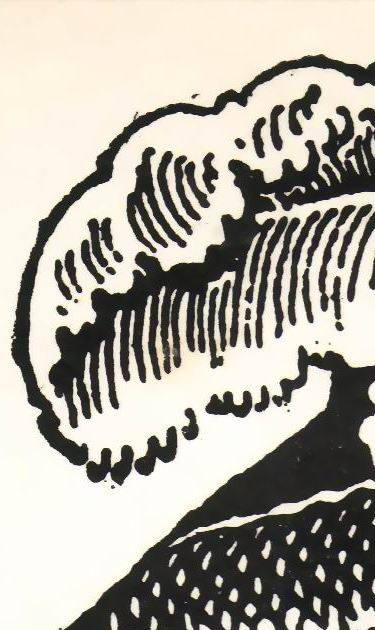 Jose Guadalupe Posada's 'La Catrina'