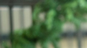 Isabela Moner in 'Instant Family.' Courtesy of Paramount Pictures.