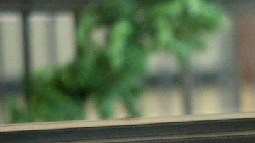 Isabela Moner in 'Instant Family.' Courtesy of Paramount Pictures.