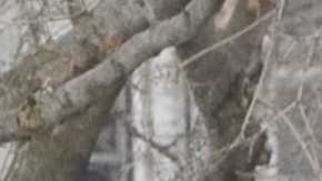 'Nothing Like the Holidays' courtesy of Overture Films.