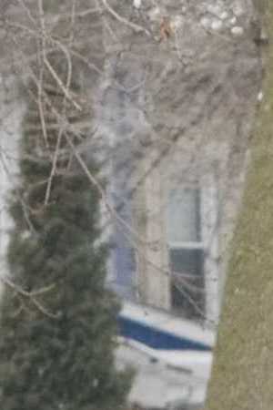 'Nothing Like the Holidays' courtesy of Overture Films.