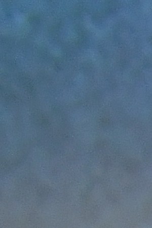 Liboria Rodriguez and Filmmaker Alfonso Cuaron onstage during the NY Film Festival premiere of ROMA.  (Photo by Nicholas Hunt/Getty Images for Netflix)