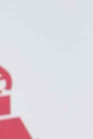 Photo by David Becker. Getty Images