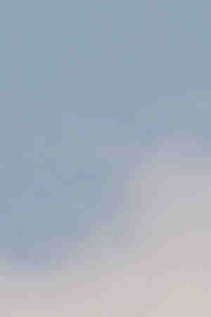 Photo by Robert Ford / iStock / Getty Images Plus