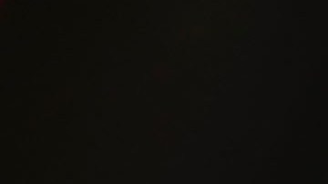 Photo by Joe Raedle/Getty Images