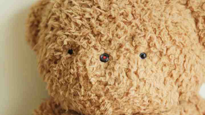 Photo by kumacore / Moment