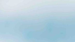 Courtesy of Black Koi Entertainment