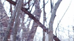 Photo by Alberto Vargas. Courtesy of Princess Nokia