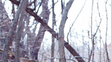 Photo by Alberto Vargas. Courtesy of Princess Nokia