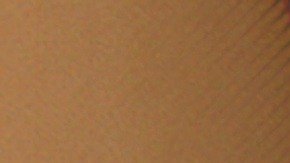 Miles Morales (Shameik Moore), Peter Parker (Jake Johnson) and Spider-Gwen (Hailee Steinfeld) in 'Spider-Man: Into the Spider-Verse.' Courtesy of Sony Pictures Entertainment