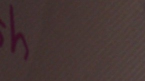 Peni (Kimiko Glen), Spider-Gwen (Hailee Steinfeld), Spider-Ham (John Mulaney), Miles Morales (Shameik Moore), Peter Parker (Jake Johnson), Spider-Man Noir (Nicolas Cage) in 'Spider-Man: Into the Spider-Verse.' Courtesy of Sony Pictures Entertainment