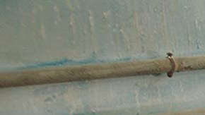 'La Noche de 12 Años' still, courtesy of Netflix.