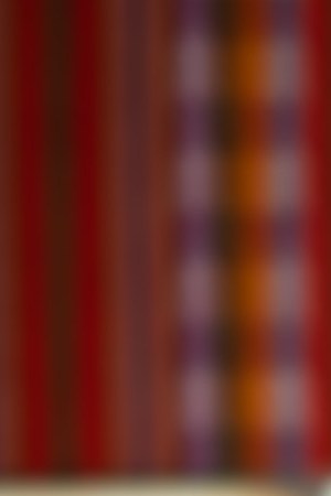 Photo by Connie Chavez from Alegría Peruanx series. Courtesy of photographer