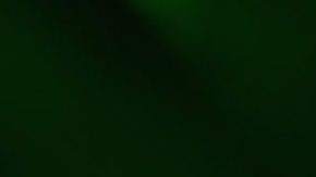 Don Omar performs at the Cubatonazo - El Concierto at Hard Rock Live! in the Seminole Hard Rock Hotel & Casino. Photo by Gustavo Caballero/Getty Images