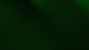 Don Omar performs at the Cubatonazo - El Concierto at Hard Rock Live! in the Seminole Hard Rock Hotel & Casino. Photo by Gustavo Caballero/Getty Images