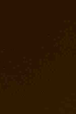 Sen. Ted Cruz (R-TX) speaks during a Senate Judiciary Subcommittee on Border Security and Immigration hearing on Capitol Hill on December 12, 2018 in Washington, DC. Photo by Zach Gibson/Getty Images