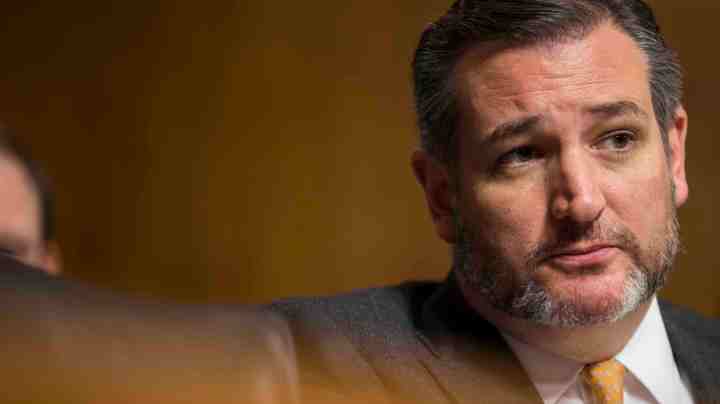 Sen. Ted Cruz (R-TX) speaks during a Senate Judiciary Subcommittee on Border Security and Immigration hearing on Capitol Hill on December 12, 2018 in Washington, DC. Photo by Zach Gibson/Getty Images