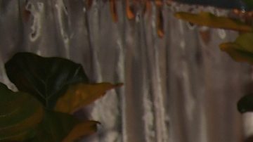 Netflix 2019 Golden Globes After Party on January 6, 2019 in Los Angeles, California.