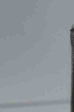 Shakira Barrera attends the 25th Annual Screen Actors Guild Awards at The Shrine Auditorium on January 27, 2019 in Los Angeles, California. Photo by Dimitrios Kambouris/Getty Images for Turner