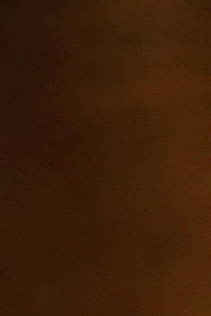 Demonstrators show support for the New York State Dream Act at a rally held at CUNY Baruch College on May 28, 2013 in New York City. Photo by John Moore/Getty Images